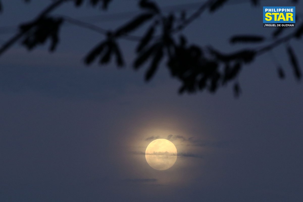 PhilippineStar's tweet photo. Majestic 🌕✨

The moon rises over trees and buildings as seen from Manila on Sunday evening. According to PAGASA, it will reach its full phase at 2:49 AM on Monday. https://t.co/Je3VLWuOV7