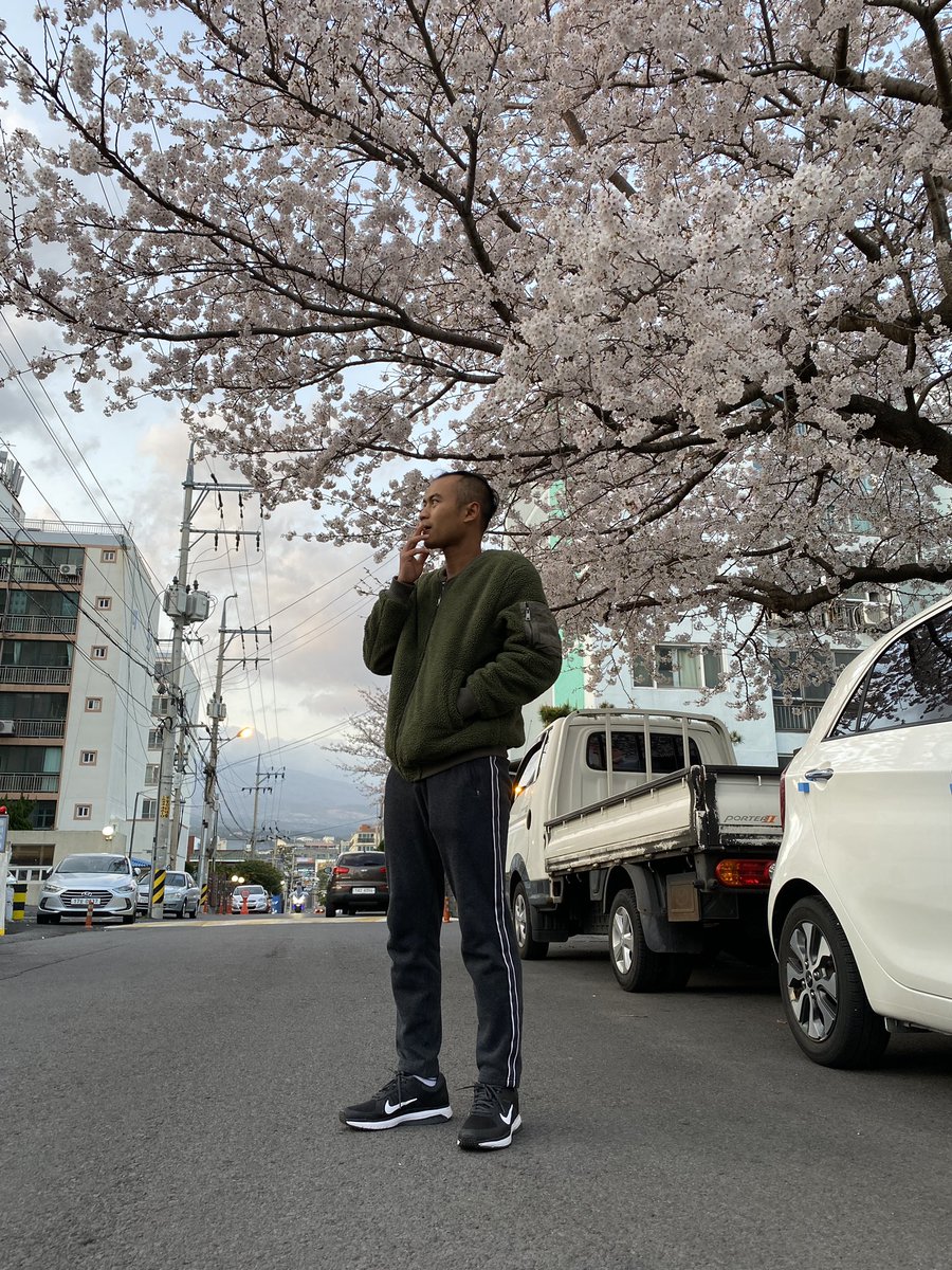nononk81524326's tweet photo. Seperti sakura yang indah dia butuh pengorbanan untuk bertahan hidup hingga ahirnya mekar dengan sempurna         

#musimsemi #sakura #spring #pecintabudayakorea https://t.co/l08JnMzIkM