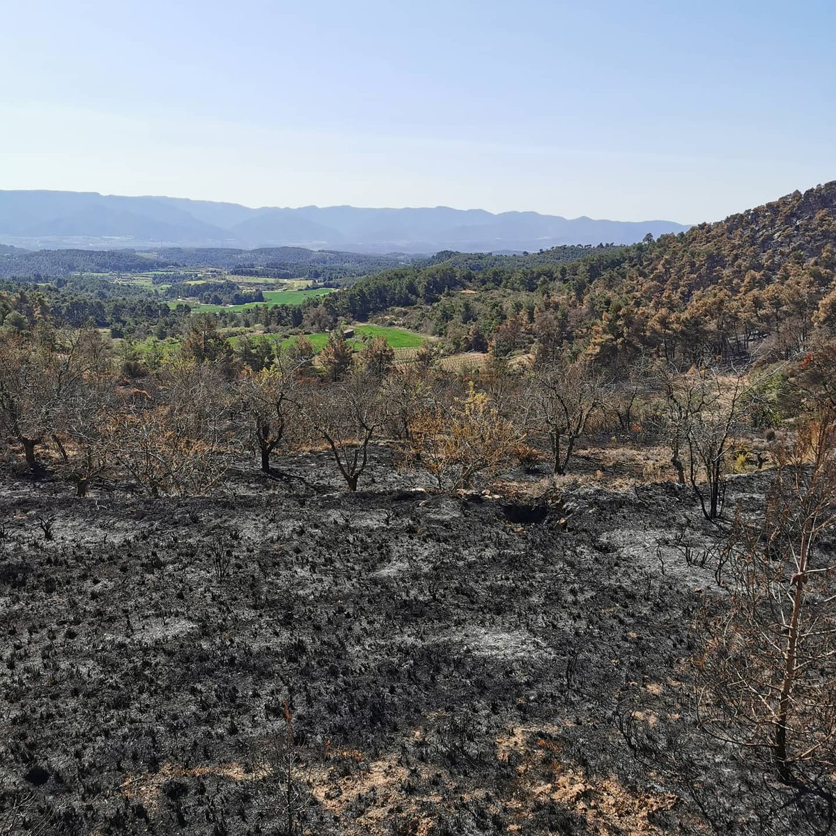 Adf144Espluga's tweet photo. ⛰️ 1 SETMANA DESPRÉS ⛰️
#ifsenan
#incendiscatalunya
#incendiforestal
#incendiscat
@sfadfcat https://t.co/NxfGh6I0UX