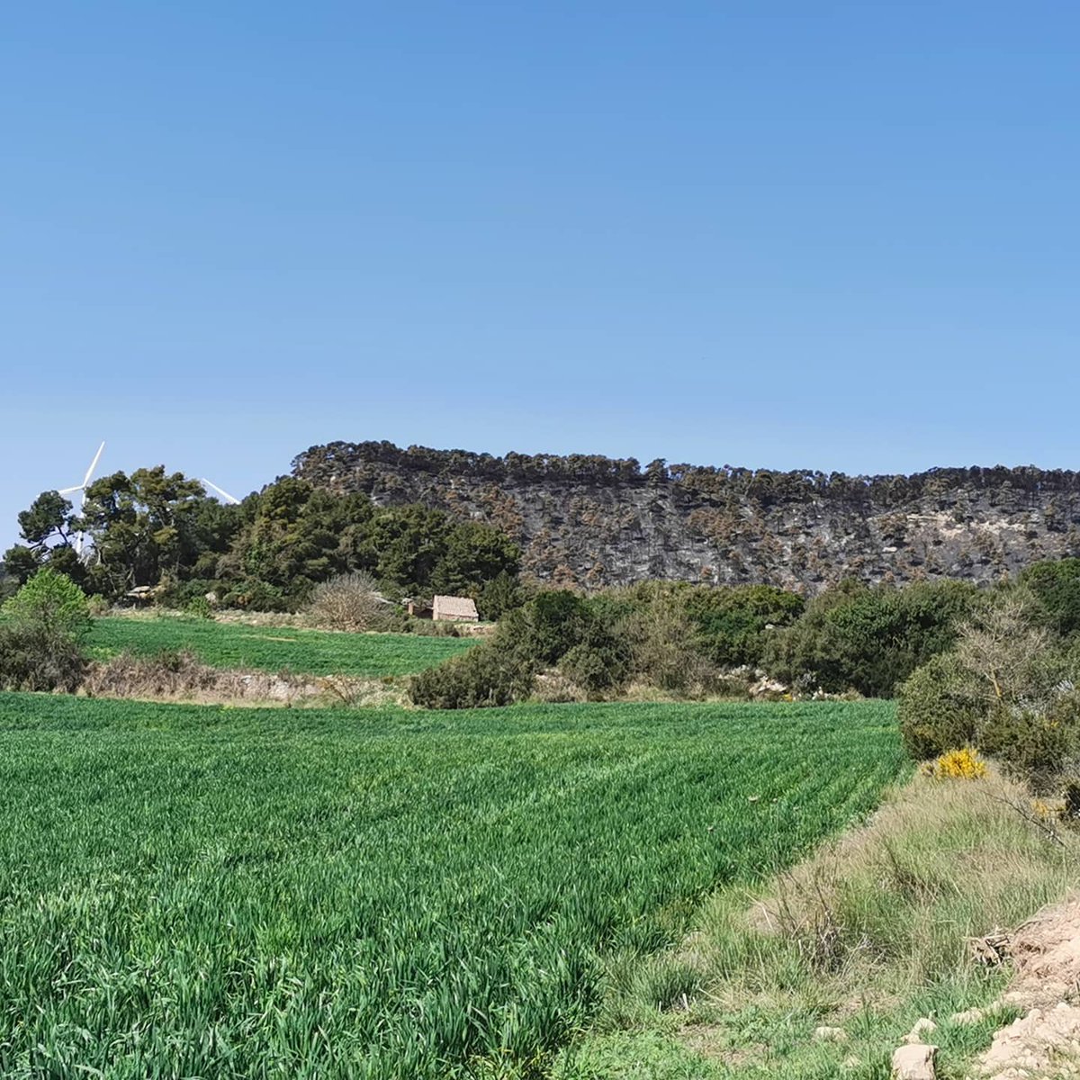 Adf144Espluga's tweet photo. ⛰️ 1 SETMANA DESPRÉS ⛰️
#ifsenan
#incendiscatalunya
#incendiforestal
#incendiscat
@sfadfcat https://t.co/NxfGh6I0UX