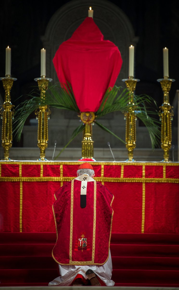 Cardinal Nichols tweet media