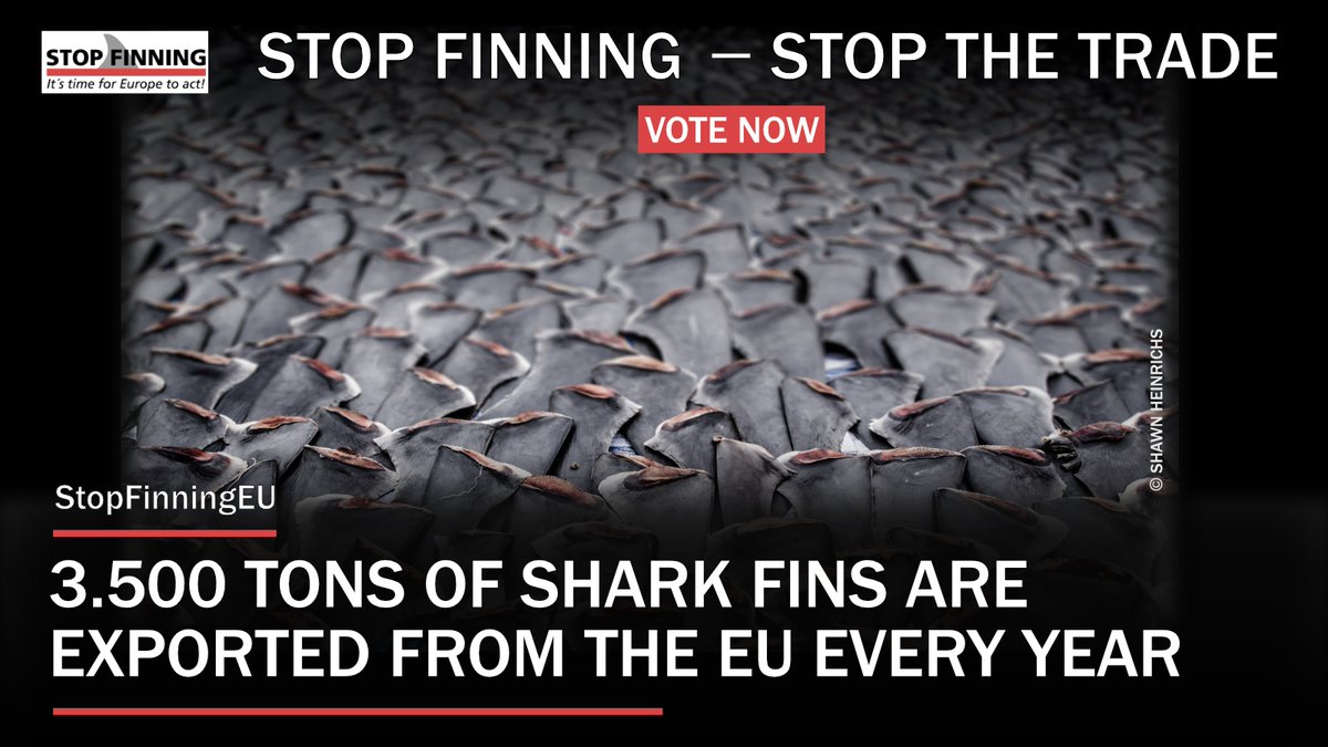 Calling all EU citizens!⁠
TAKE ACTION: Please support the EU Citizens Initiative #StopFinningEU with your vote to help end the shark fin trade in Europe! Join <a href="/StopFinningEU/">StopFinningEU</a> at stop-finning-eu.org!
<a href="/OP_Society/">Oceanic Preservation Society / OPS</a>
