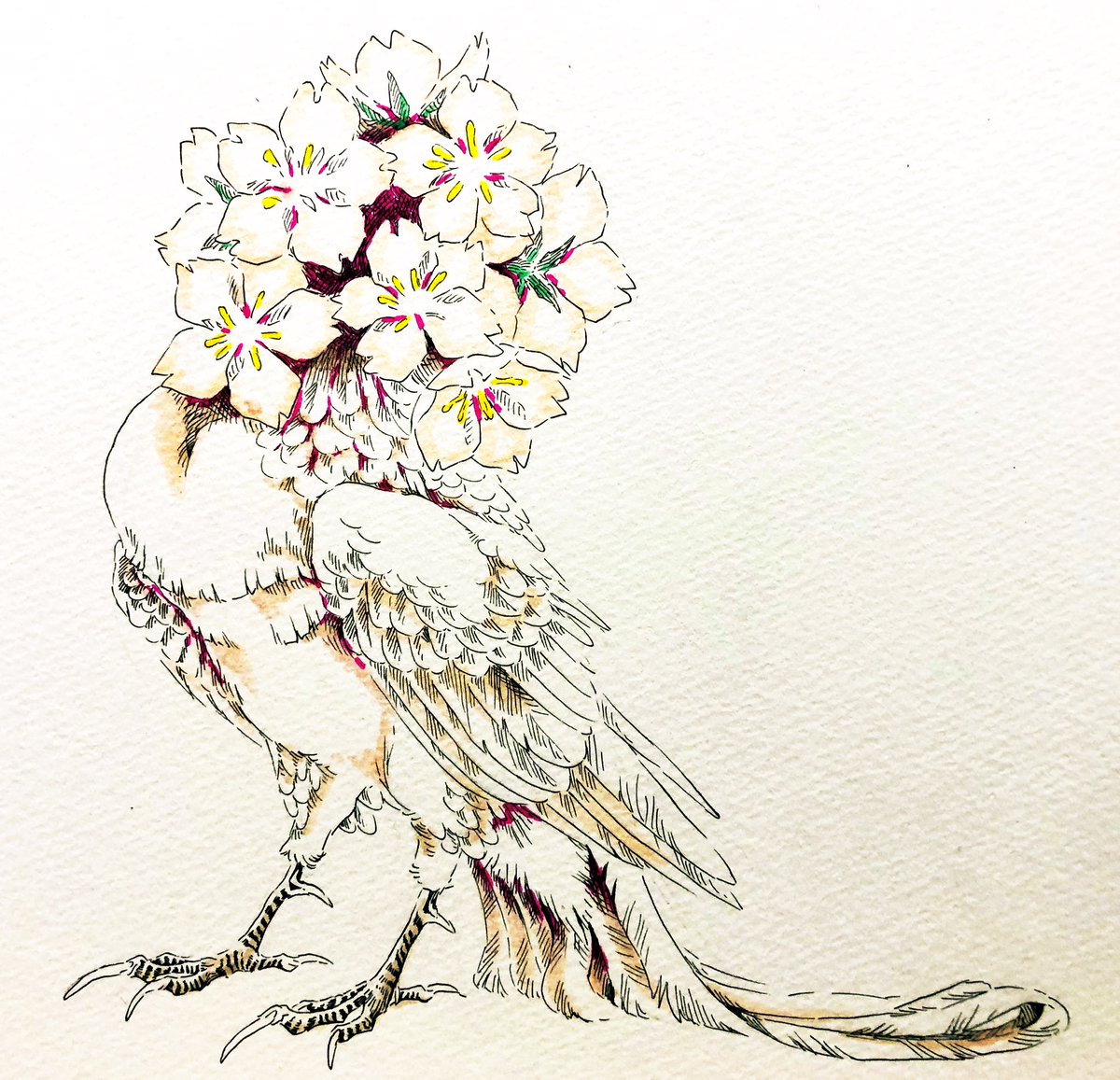 「花のケモノ 」|とんからり@ｺﾐﾃｨｱ5/5【て21a】のイラスト