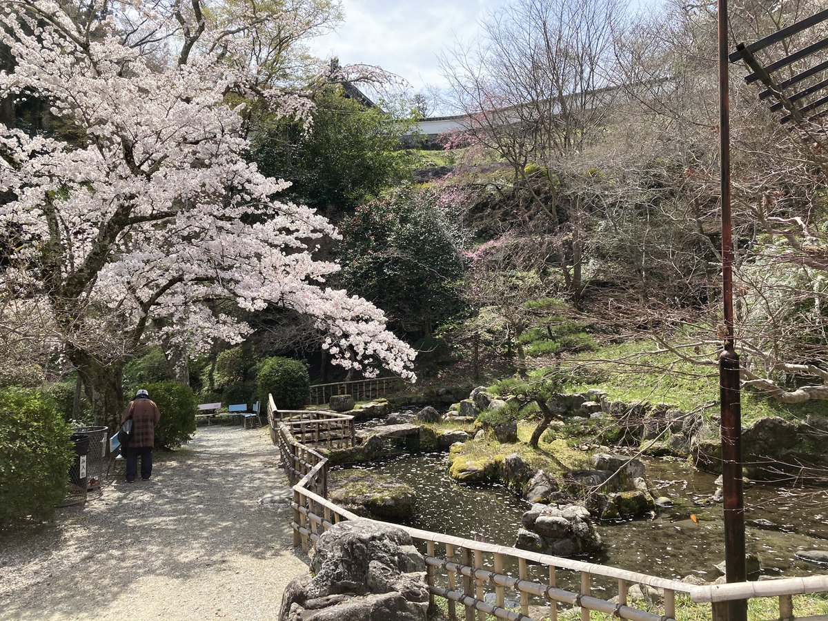 Hanafree12's tweet photo. 昨日の長谷寺の写真もすこし☺️

奈良県のお寺です。

桜満開で圧巻でした😊🌸

土曜日だったので気合を入れて朝早く出発！

着いたのは10時くらいでした。

思ったより人は少なめで、ゆっくり桜を満喫できました☺️ https://t.co/gcVVaoGKPB