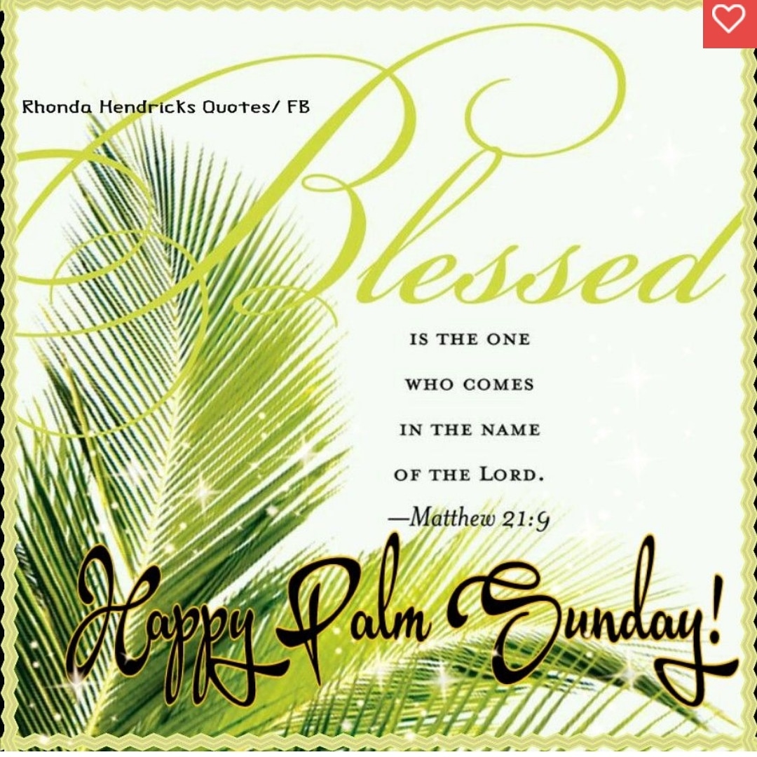 scs5th's tweet photo. ✝️Happy Palm Sunday ✝️ Today is the beginning of Holy Week ✝️ https://t.co/Y7t4YyQN5Y