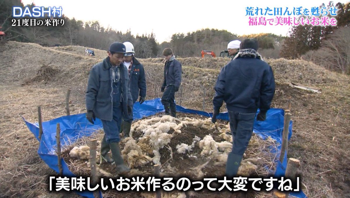 Makky Tokioは福島県葛尾村で ももクロは福島県浪江町で お米作り ほんと素晴らしい活動 鉄腕dash もも行く