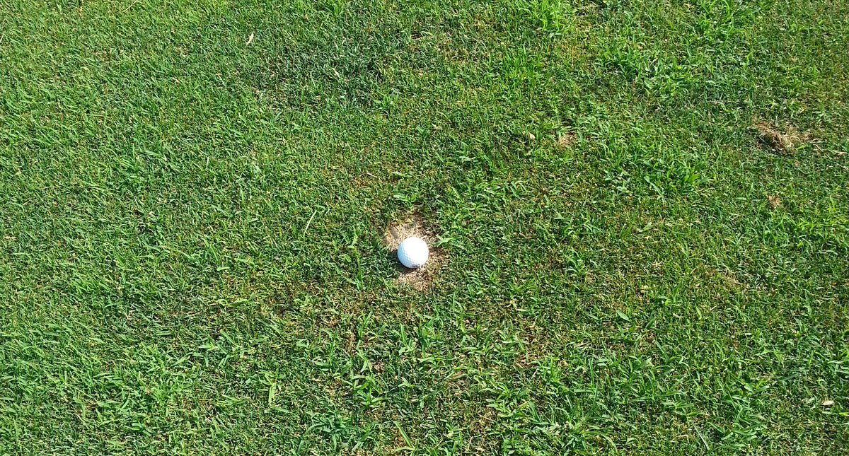 JDiezPlus's tweet photo. Equidad-Golf ⛳️
Bola en calle que reposa en una chuleta. Es calle o terreno en reparación? 
Se cambiaron varias reglas hace poco.
Ésta la cambiarías? 

No: Me gusta
Sí: Retweet 

@MovistarGolf @EuropeanTour @PGATOUR https://t.co/7hoorgzol8