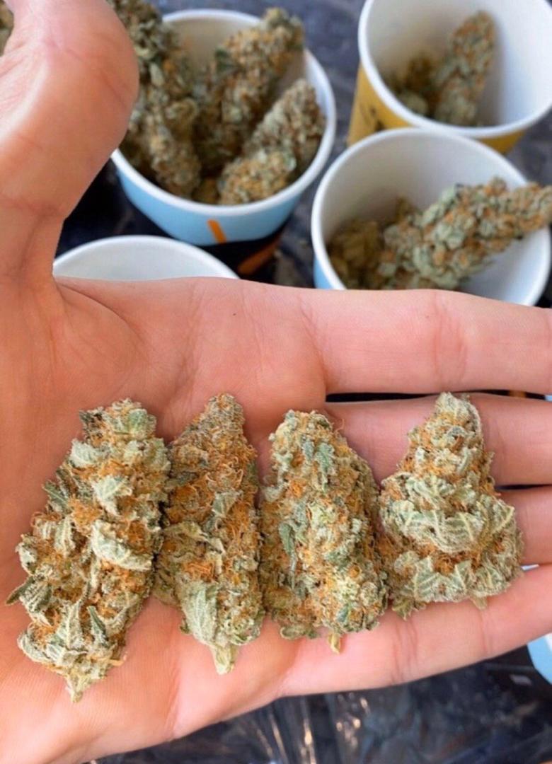 ShopShit2's tweet photo. fiable et sûre 🍁✅
👉Snapchat :scoth_weed https://
https://t.co/JHuSp9WbP5
👉wathsapp : +33644670225
#France #lyon #dunkerque #besançon #niort #anvers #carcassonne #COVID19france #MMA #anvers #limoges @4Tchat @RastaBot420_ #citation #narbonne #agen #pau #valence #chambéry #psg https://t.co/t8yt8crBtc