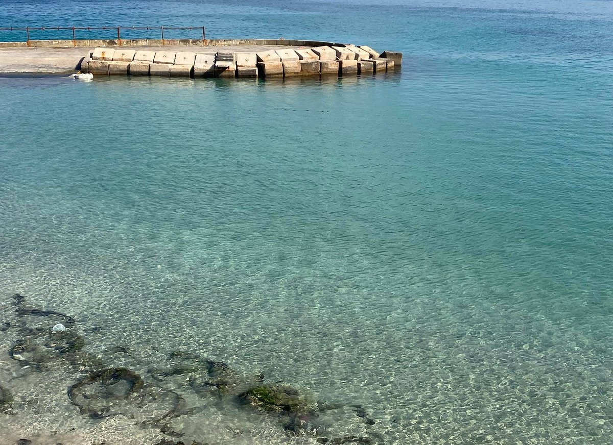 MedPearlsProj's tweet photo. If you are looking for healthy, natural, and not-over crowded environments to be your next destinations, look no further and embrace the serenity of #ElMontazah.
#MedPearlsProject #GOMED #SustainableTourism #SlowTourism
Photo credit: Aya Baraka https://t.co/ZjNpjsaliS