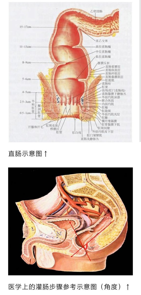 桃子子 tweet media