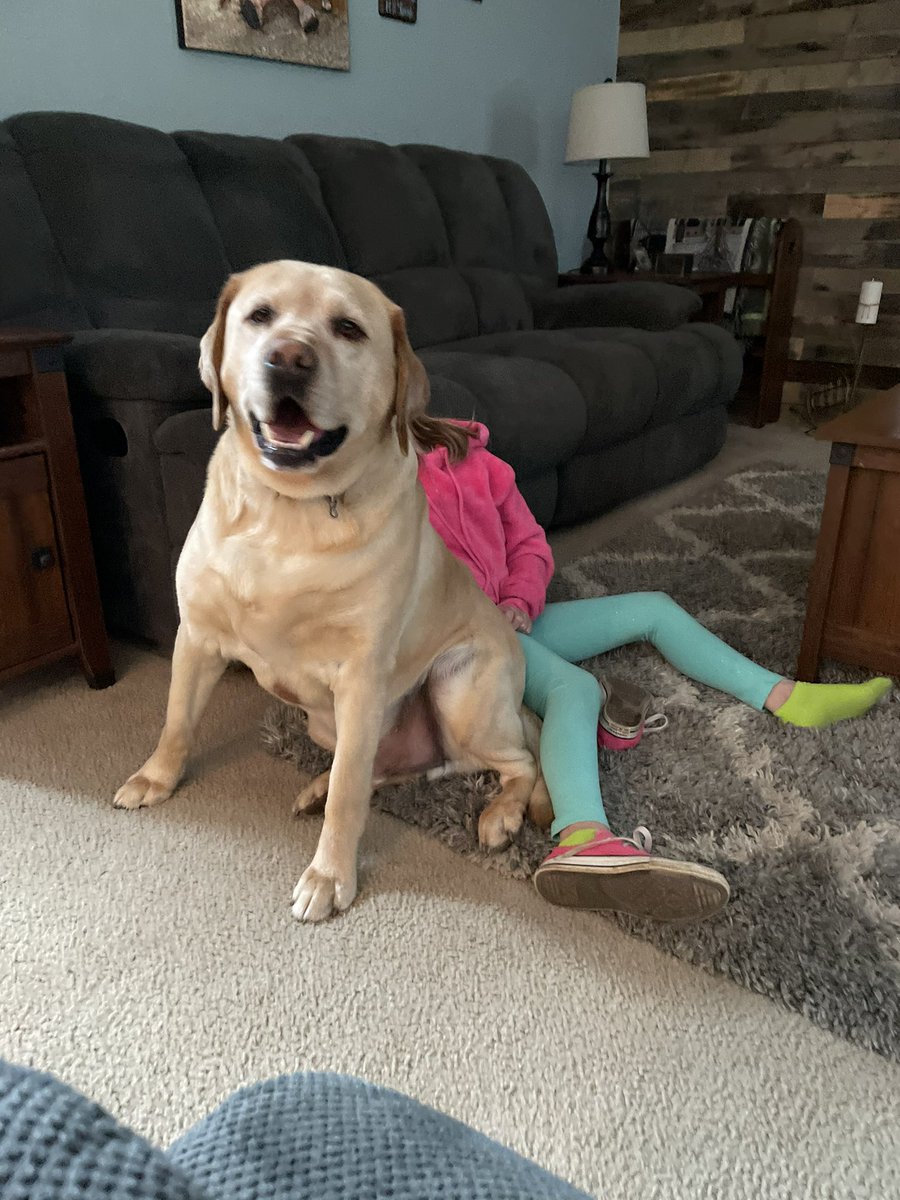 And to think he could be the small dog