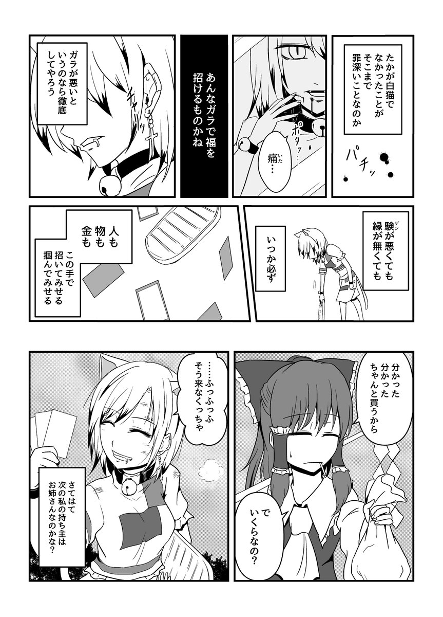 ガラの悪い猫 