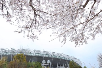 桜とともに勝利を！の画像