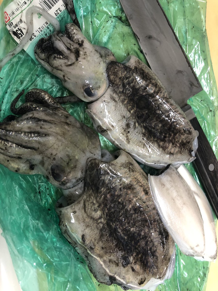 みんなの 角上魚類 刺身 口コミ 評判 3ページ目 食べたいランチ 夜ごはんがきっと見つかる ナウティスイーツ みんなの 角上魚類 刺身 口コミ 評判 3ページ目 食べたいランチ 夜ごはんがきっと見つかる ナウティスイーツ