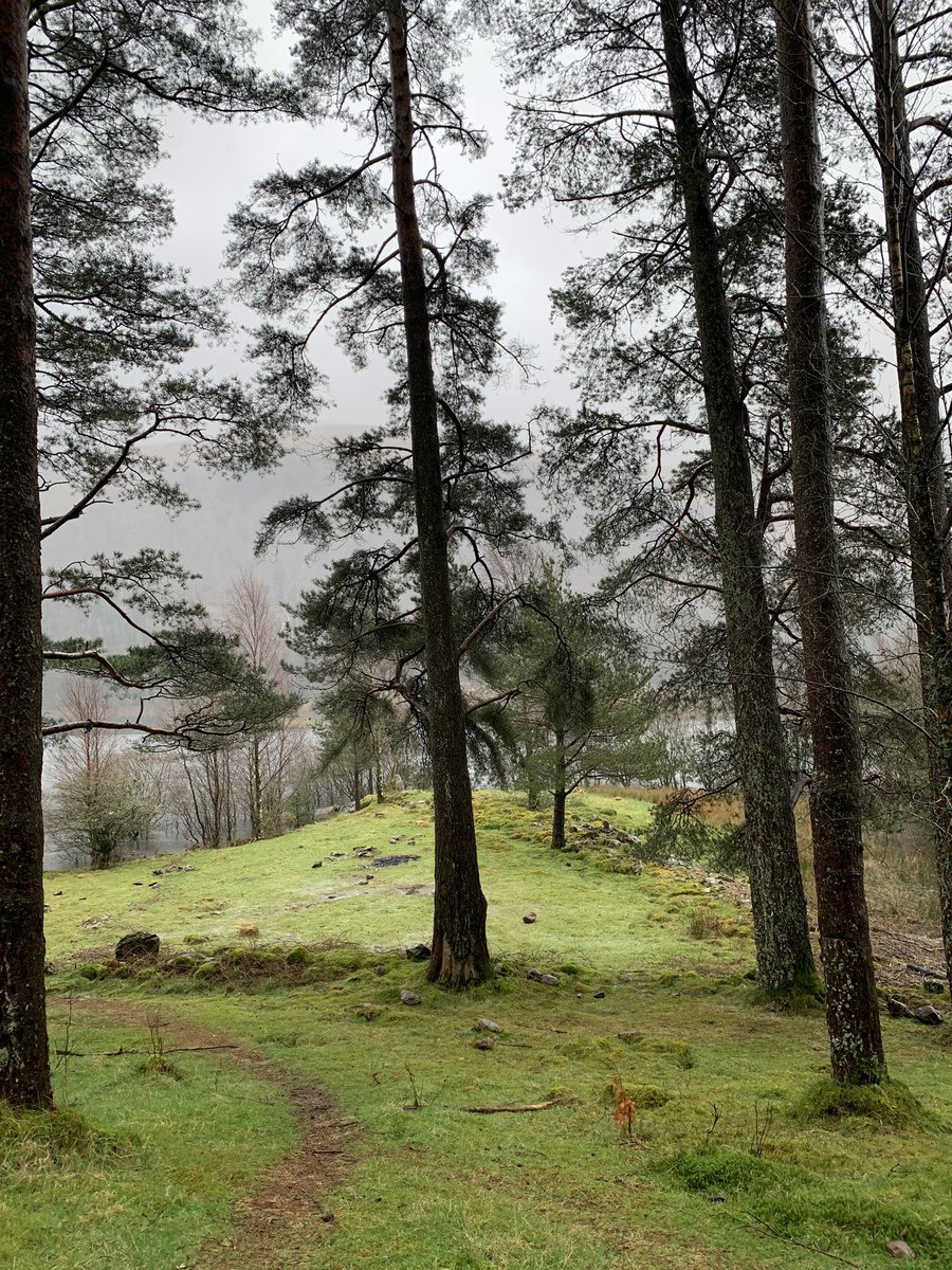 NYorkshireTony's tweet photo. Big thanks to @LakesPlasticCol for helping to clear up the now infamous campsite at Thirlmere this morning.  Jointly we’ve got lots of evidence of caused this mess and we’ll be taking it forwards.  Beauty and calm is restored. Thanks to all the teams who are out there as ever. https://t.co/dVgo7Qsr79
