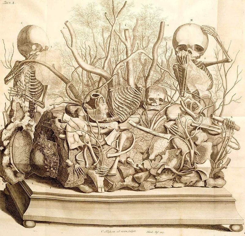 Frederik Ruysch, the Dutch anatomist and "artist of death", was born #onthisday in 1638. He was known for his remarkable "still life" displays, that blurred the boundary between scientific preservation and vanitas art. More in Luuc Kooijmans's essay: buff.ly/3w5IXRl #otd