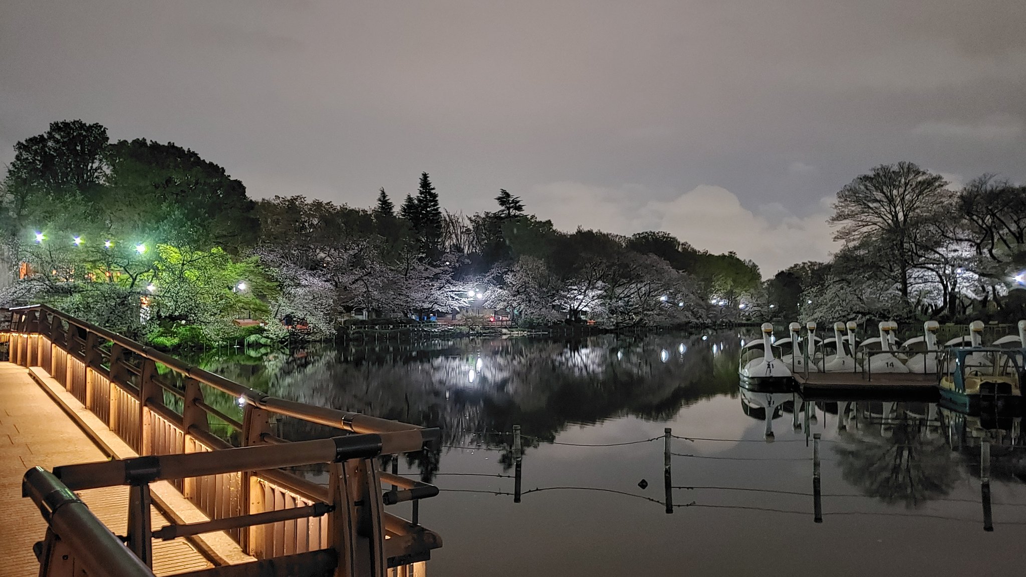 井の頭公園デート Twitter Search Twitter