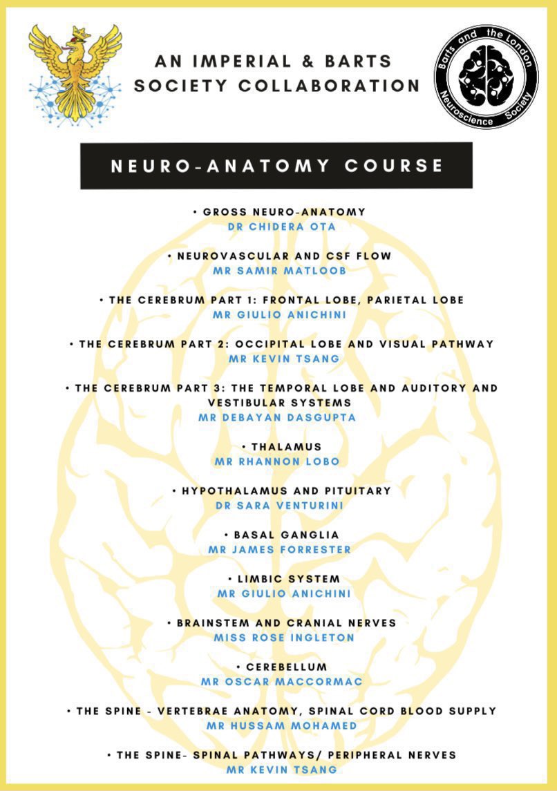 newall_nicola's tweet photo. Only three more weeks left of our neuroanatomy course! Make sure you join us on Tuesday at 6:30pm for Mr @oscar89mac lecture on the cerebellum 🧠! We can’t wait! All details below #MedEd #nsgy @ICNeuroSoc @BLneuroscience @chidera_ota https://t.co/iSdkx19AtV https://t.co/Swn9aRE04f
