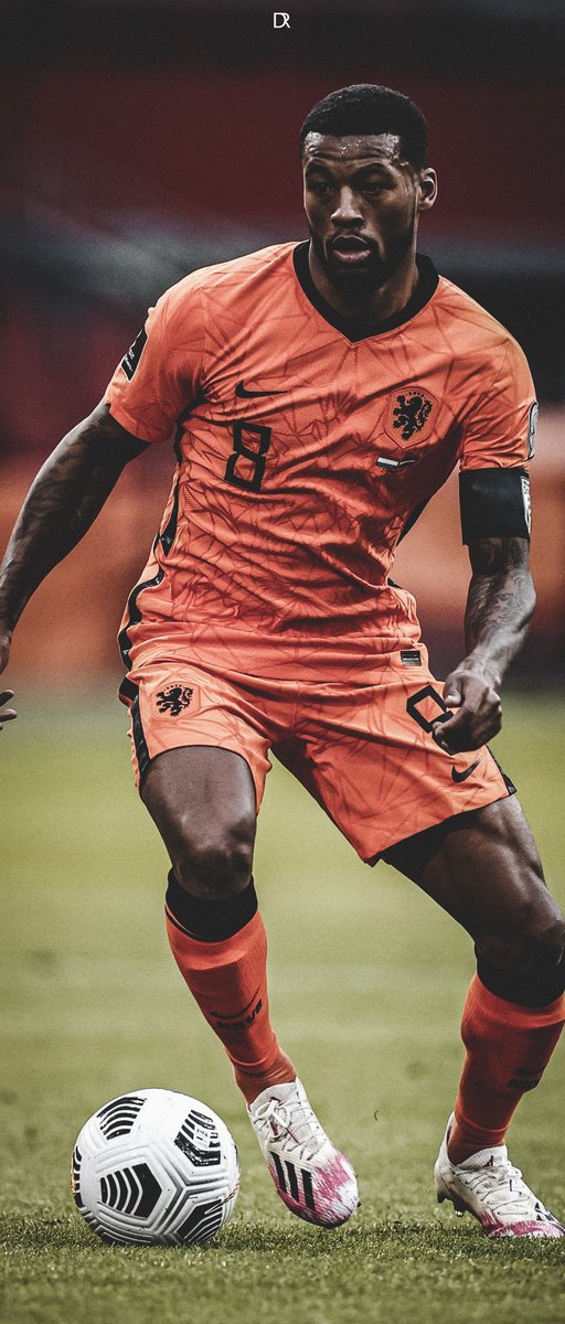 edits_dr's tweet photo. Netherlands | Wallpapers 

FAV + RT para divulgação! 🔥 https://t.co/cROlh2E6EL