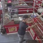 強盗が押し入った際の仮想訓練中に？店内で爆睡する番犬の様子!