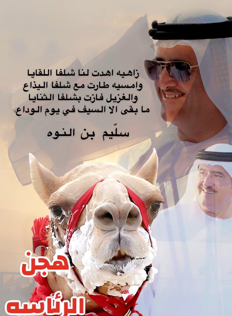 s_almenhali_'s tweet photo. زاهيه اهدت لنا شلفا اللقايا 
وامسيه طارت مع شلفا اليذاع 
والغزيل فازت بشلفا الثنايا 
ما بقى الا السيف في يوم الوداع
سلّيم بن النوه 
#هجن_الرئاسه #الناموس https://t.co/YsjrxP0Lgy
