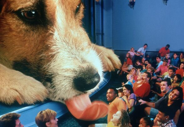 DLP_World's tweet photo. Le 28 mars 1999, l’attraction "Chérie, j’ai rétréci le public" ouvrait officiellement ses portes à Disneyland Paris. https://t.co/N45meqz118