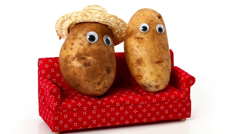 Картошка с глазками. Веселый картофель. Смешная картошка. Картошка картинки прикольные.