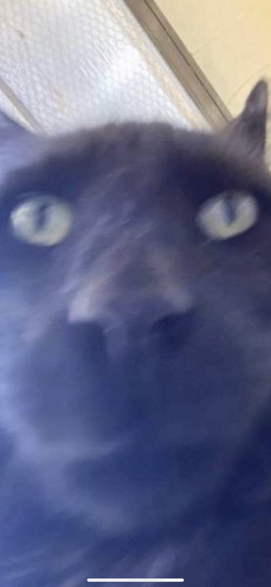 Kabuto32 tweet media