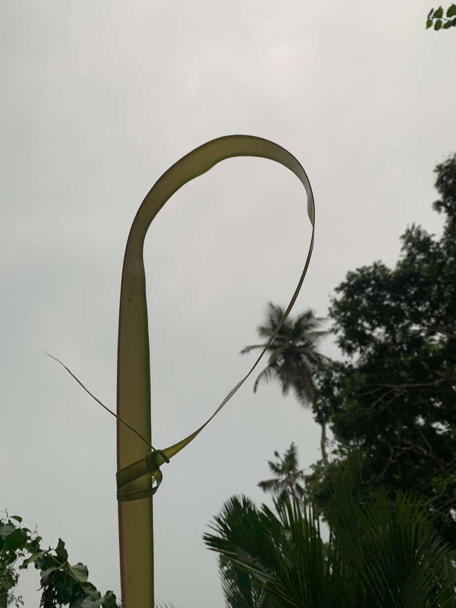 jebsispar's tweet photo. #PalmSunday2021 
Love from JJ Family!
#nadamkandathil #jj #jjfamily #PalmSunday #kerala #jebsispar #jebinjohny #home #sundaymass https://t.co/OY3tBI98oW