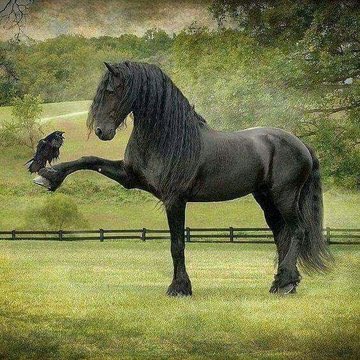 Tell me what your #SundayThoughts
are my little friend❤️