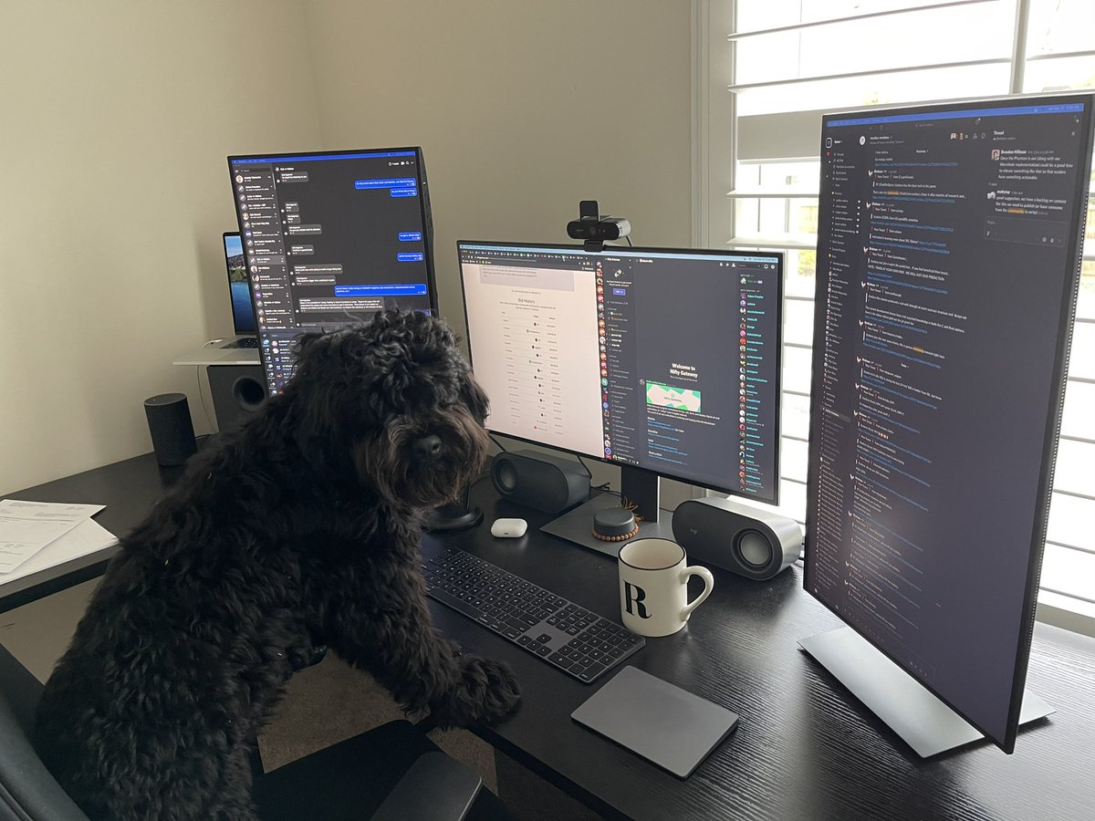 raj 🖤 (@rajgokal) on Twitter photo best <a href="/solana/">Solana</a> meme in the next 24 hours gets a sweet limited edition swag pack with socks, hoodie, mugs etc. and a 30 minute zoom call with my dog myro who can’t seem to win any of these nft auctions best <a href="/solana/">Solana</a> meme in the next 24 hours gets a sweet limited edition swag pack with socks, hoodie, mugs etc. and a 30 minute zoom call with my dog myro who can’t seem to win any of these nft auctions