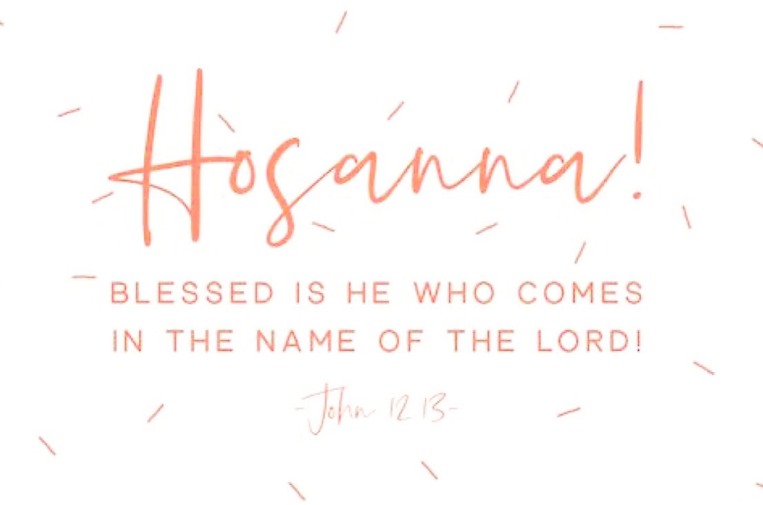 Have a blessed Palm Sunday!