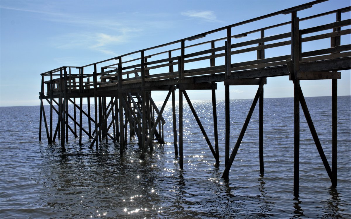 🇨🇦 Elena 🇨🇦 (@1234_loving) on Twitter photo 