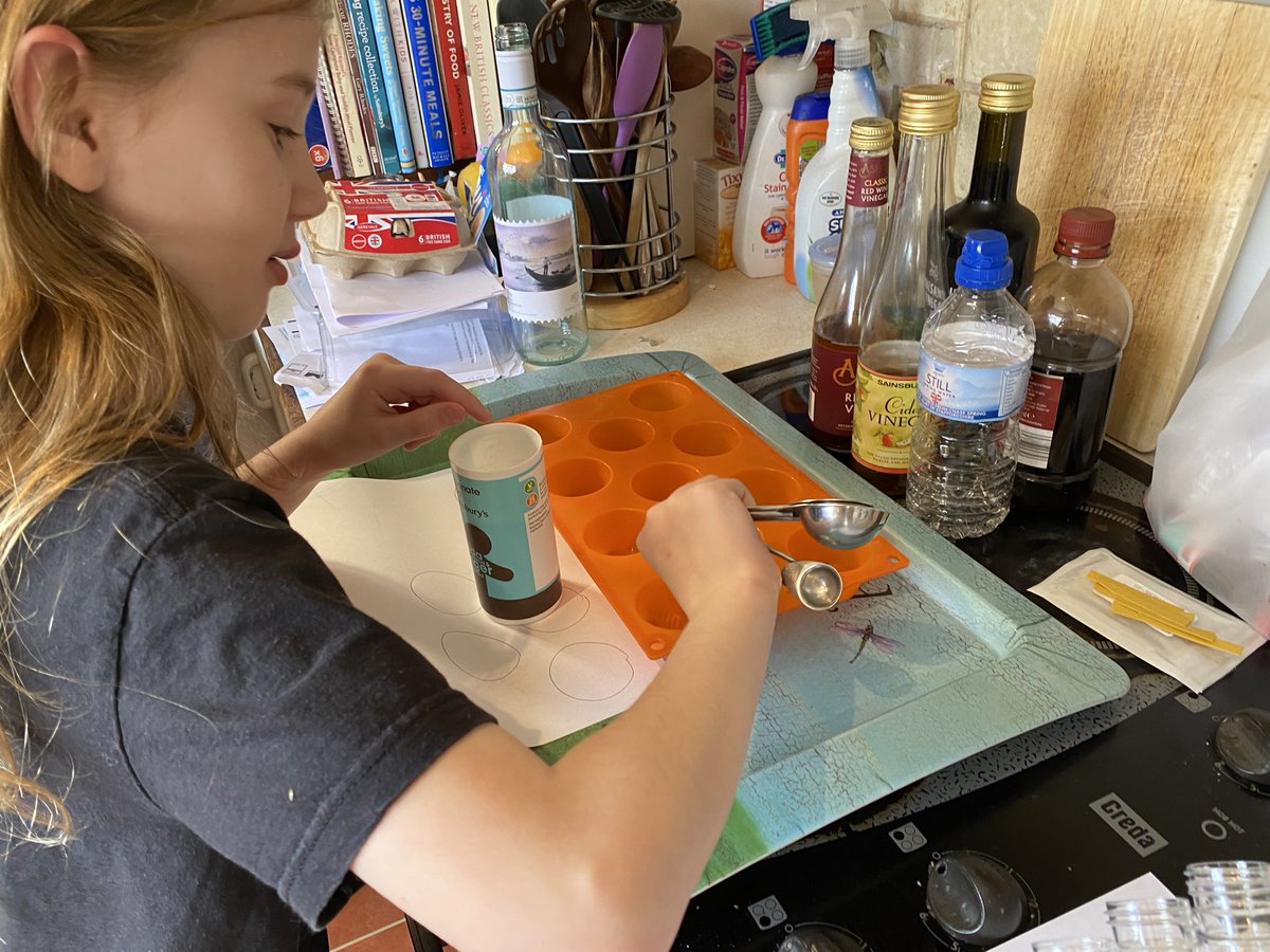SarahEverson3's tweet photo. Thanks so much to @GirlGuidingDund and @WCAIRDundee for an awesome weekend of scientific discovery. 🧬🦠 https://t.co/Fjpm6rbHiv