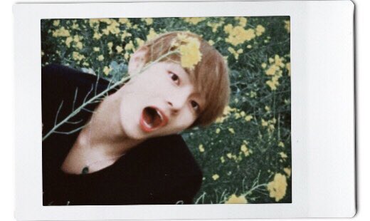 taeteland's tweet photo. i miss you vante https://t.co/uPzIvj5rDP