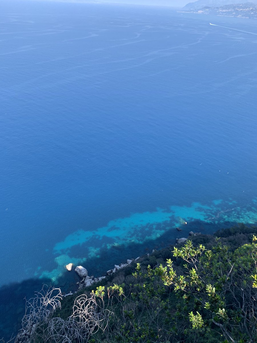 angelokylie's tweet photo. 今日の気温は19度。海の色がすごく綺麗✨
#カプリ島 #Capri #イタリア #Italy #カプリブルー #capriblue #ilikeitaly https://t.co/Jqqf0OAZV9