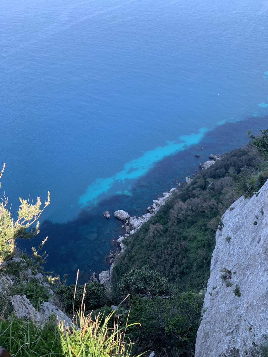 angelokylie's tweet photo. 今日の気温は19度。海の色がすごく綺麗✨
#カプリ島 #Capri #イタリア #Italy #カプリブルー #capriblue #ilikeitaly https://t.co/Jqqf0OAZV9