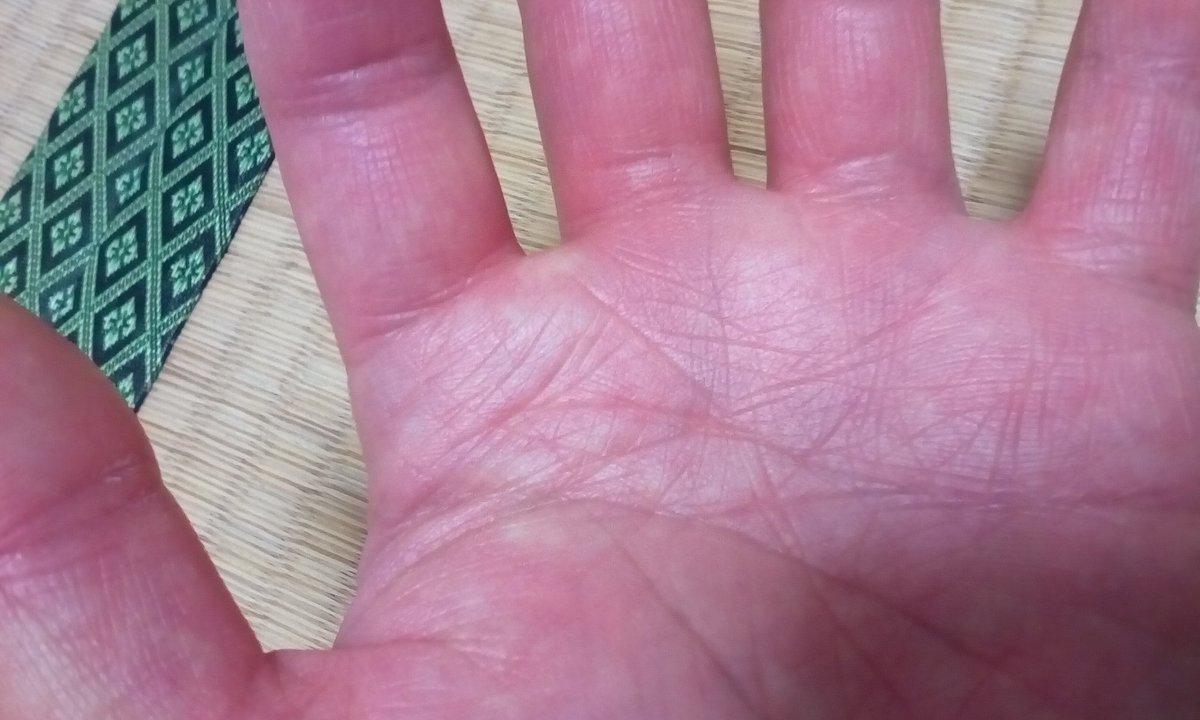 リュウジン A Twitter わたくしの手相で感情線が三ツ又に分かれているのは人の運をも上げる 女性だとあげまん線 男性だとあげちん線らしいです わたくしの夢は大きいのです 日本を救う事です 志しは大きい方がいい 大きな志しがある方が目先の事にとらわれ