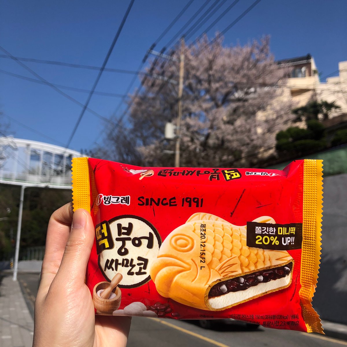 김샐리쨩 tweet media