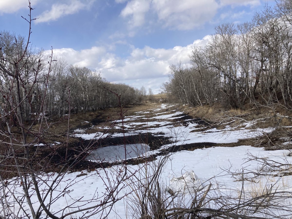 SundanceFarms's tweet photo. Minimal run-off and trees starting to bud. #DrySpring https://t.co/Gbu0detwv3