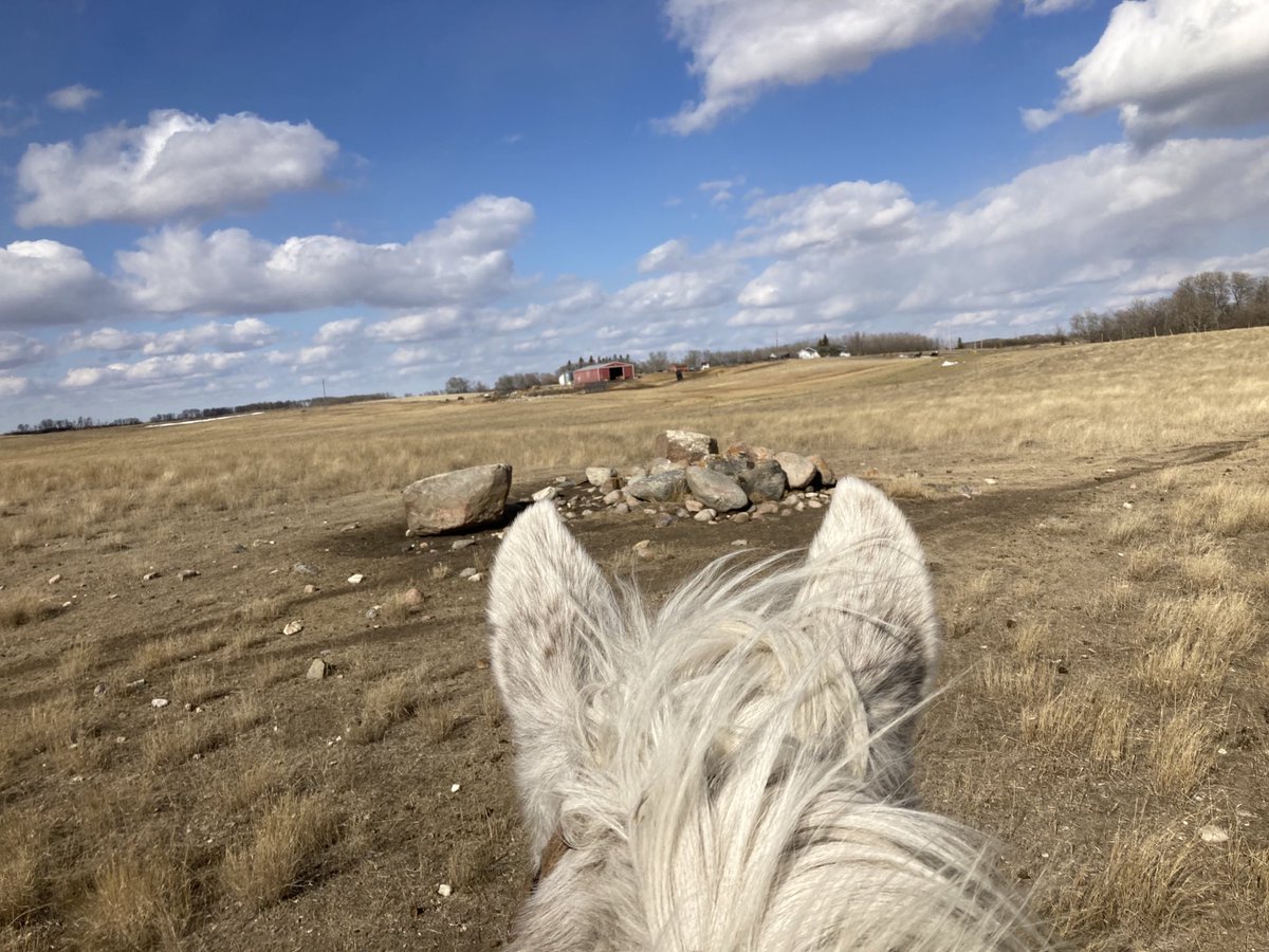 SundanceFarms's tweet photo. Minimal run-off and trees starting to bud. #DrySpring https://t.co/Gbu0detwv3