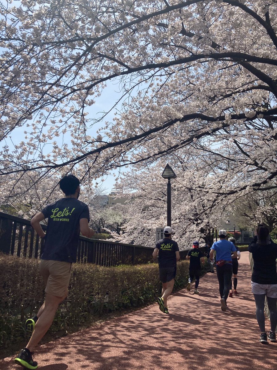 LetsBeerWorks's tweet photo. 土曜日のお花ランニング！
お天気も桜も最高でした❣️
Facebookのアルバムに全部の写真載せましたので、ご自由にお使いくださいませ〜🍻
次回は4月の後半あたりを計画しています🏃‍♂️ https://t.co/MepBH1n6LR