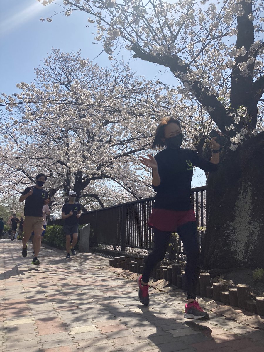 LetsBeerWorks's tweet photo. 土曜日のお花ランニング！
お天気も桜も最高でした❣️
Facebookのアルバムに全部の写真載せましたので、ご自由にお使いくださいませ〜🍻
次回は4月の後半あたりを計画しています🏃‍♂️ https://t.co/MepBH1n6LR