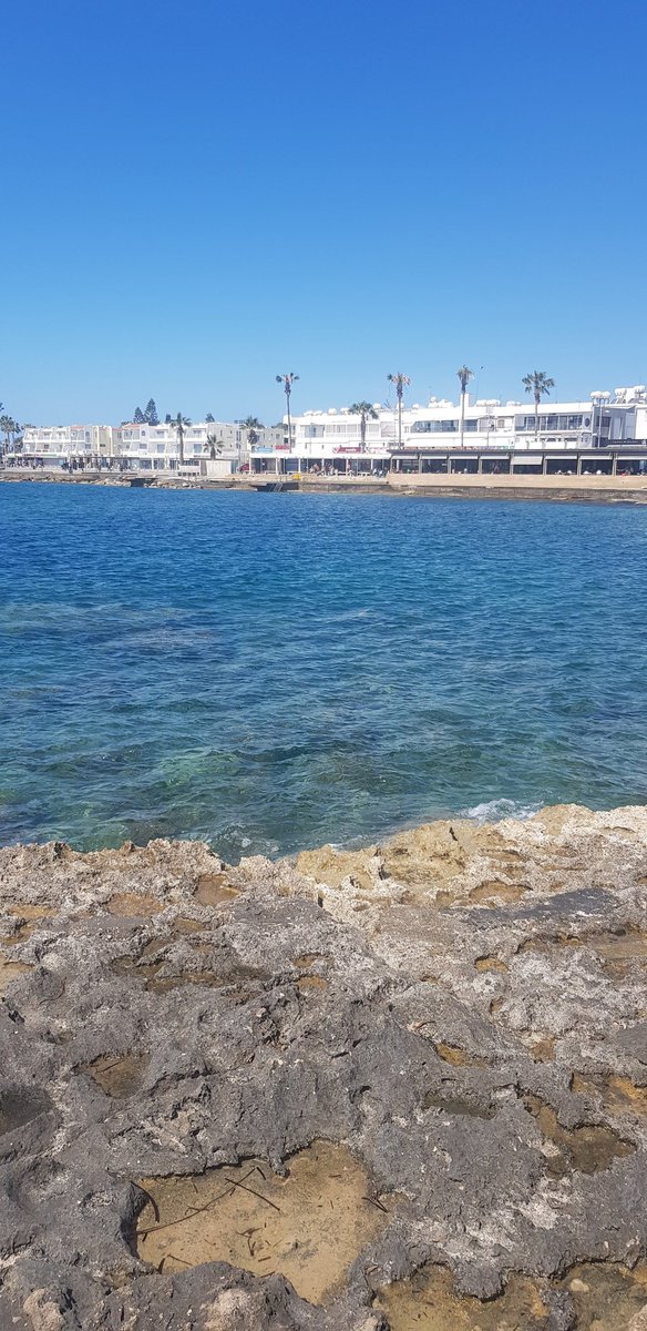 cp9Pe4QMO58HdQQ's tweet image. What else? #justblue #justswimandbreath 👇👇👇👇👇👇👇👇