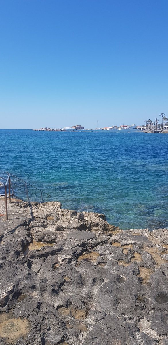 cp9Pe4QMO58HdQQ's tweet image. What else? #justblue #justswimandbreath 👇👇👇👇👇👇👇👇