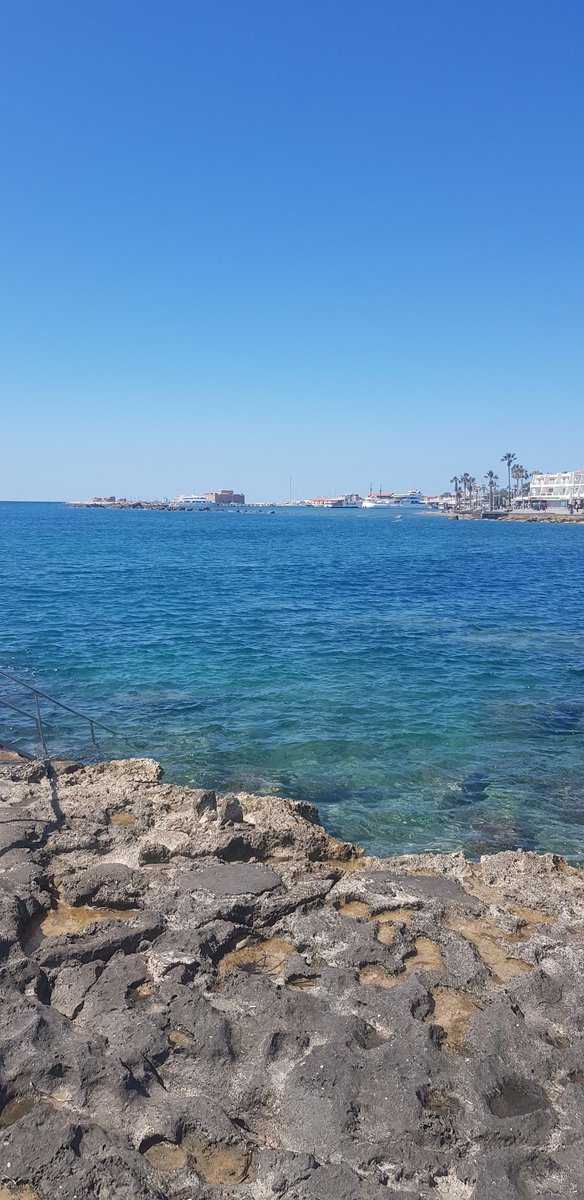 cp9Pe4QMO58HdQQ's tweet image. What else? #justblue #justswimandbreath 👇👇👇👇👇👇👇👇