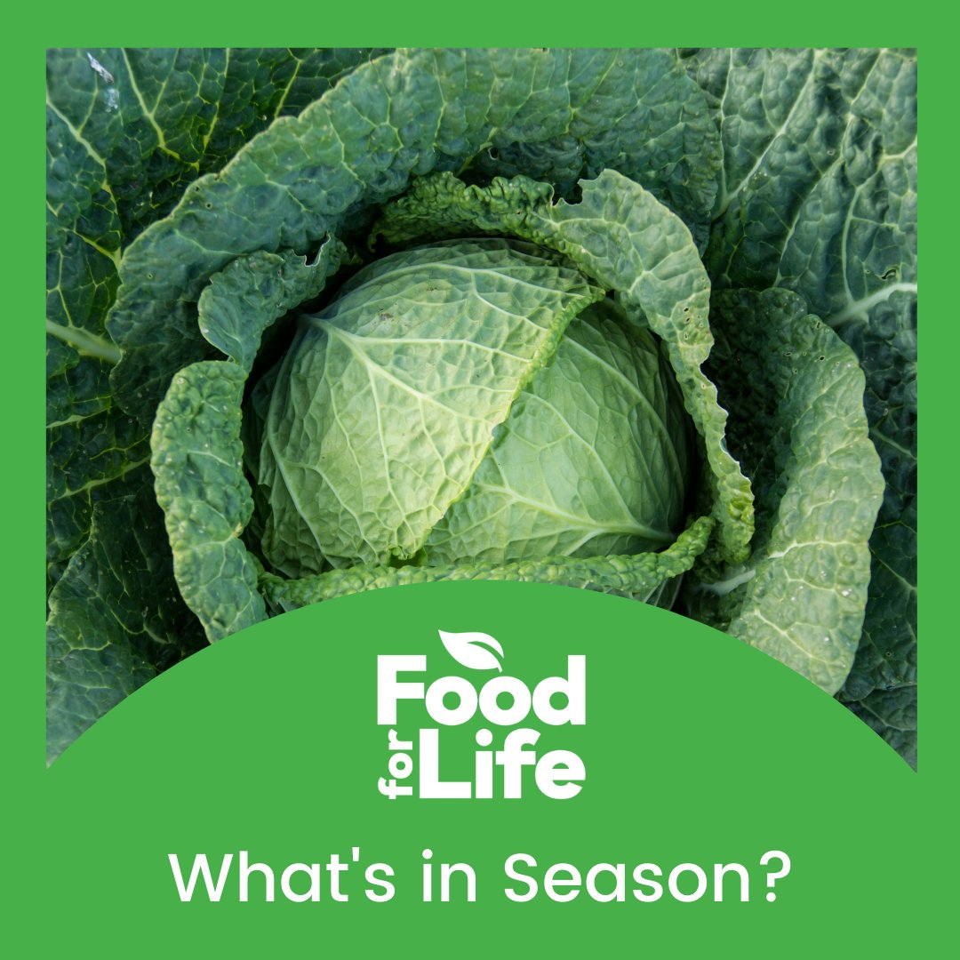 foodforlife's tweet photo. Want to buy ingredients that you know are fresh?

If you’re not sure what’s in season, consult the @FoodlandOnt Availability Guide. https://t.co/hNhUYV2bAF

March seasonal offerings include cabbage, beets, carrots, and red onions. #BuyLocal #FreshTip https://t.co/tCSQXIYJ4w