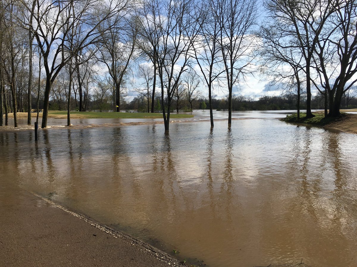 Spring Hill Police tweet media