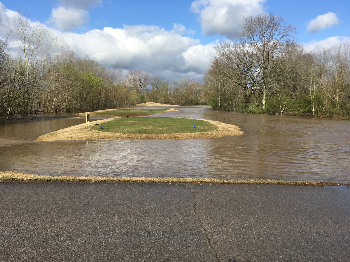 Spring Hill Police tweet media