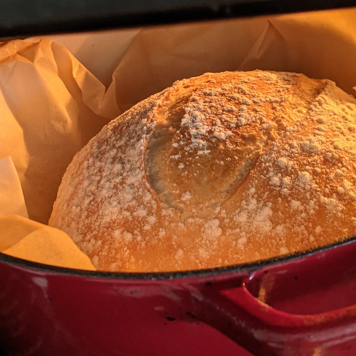 just_carbs's tweet image. Here is an answer to all your questions. 
My bread 👇